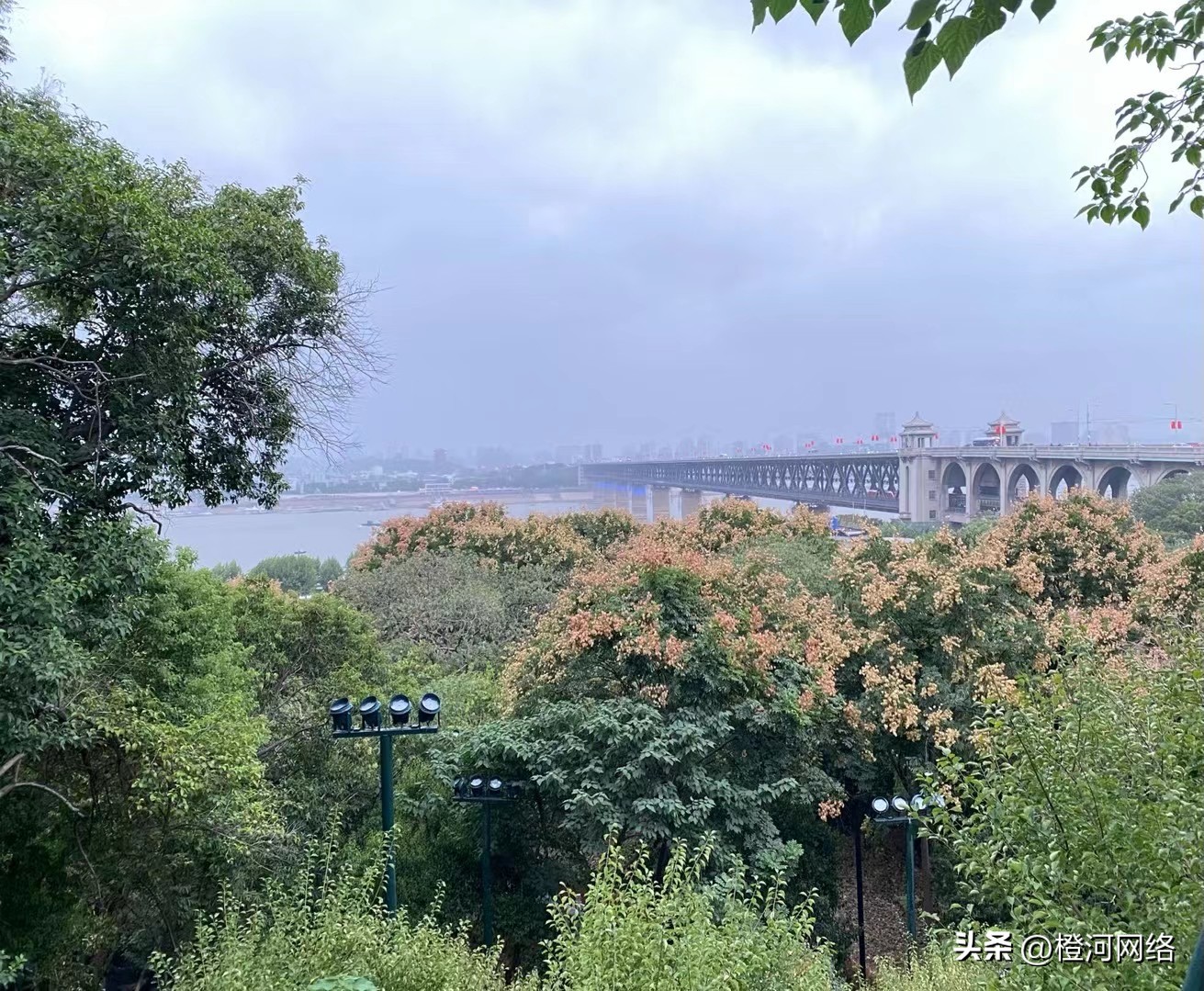 海外问卷调查的答题技巧,国外问卷调查渠道答题技巧