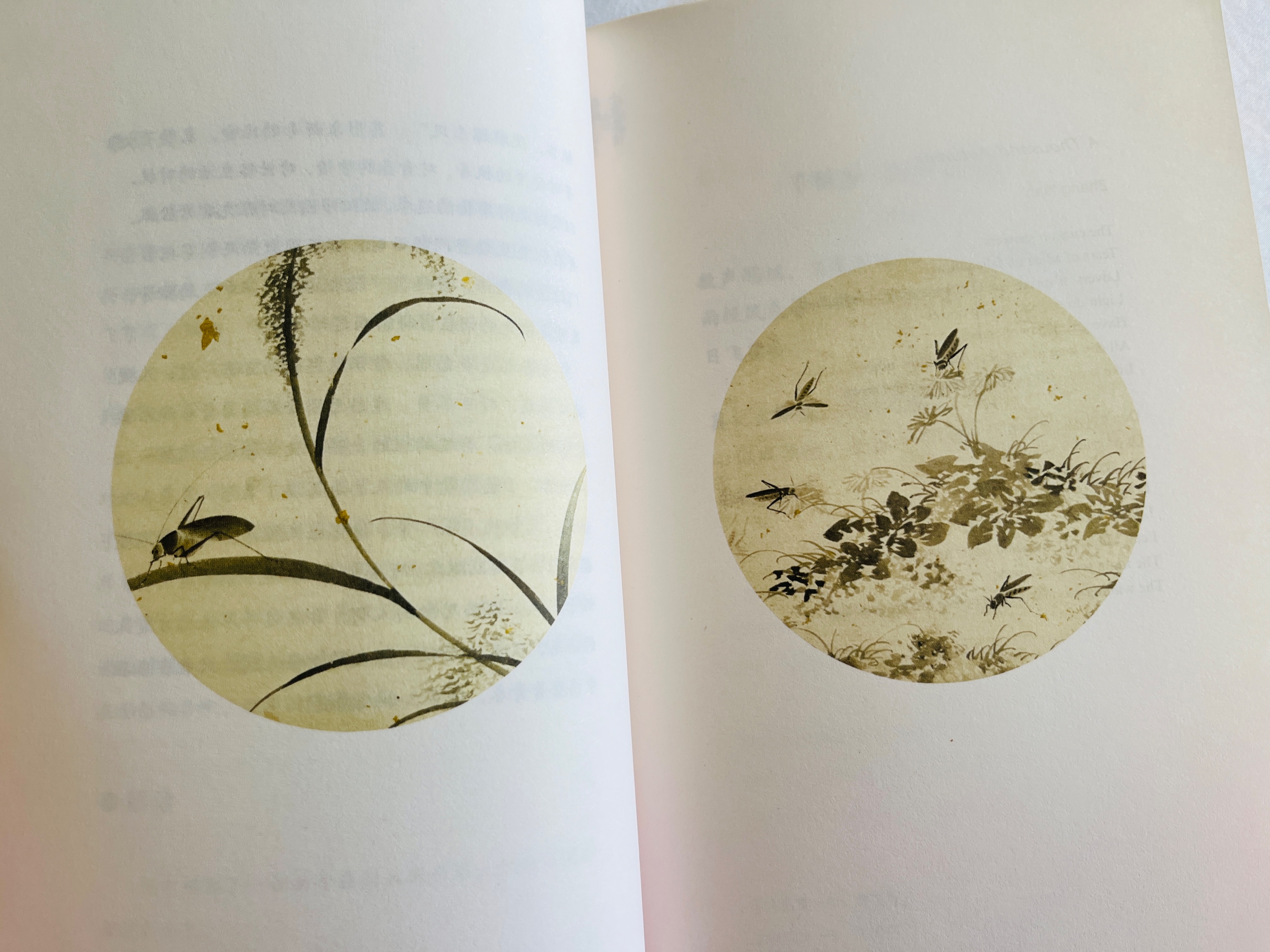 从别后，忆相逢，几回魂梦与君同|《春风十里柔情》