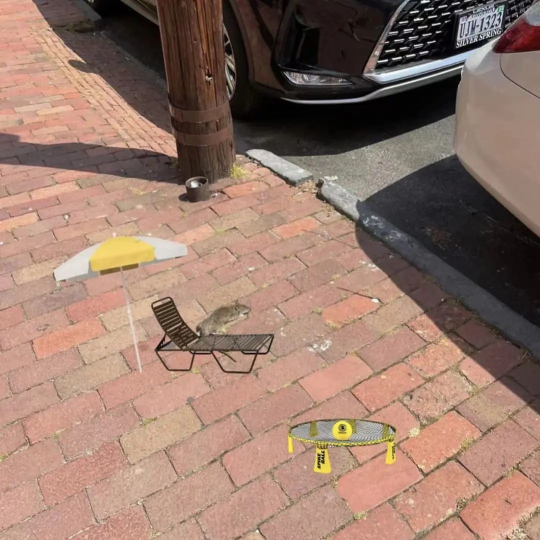 20所「吃住最糟糕」的美国大学！不管怎么骂，条件永远那么差……