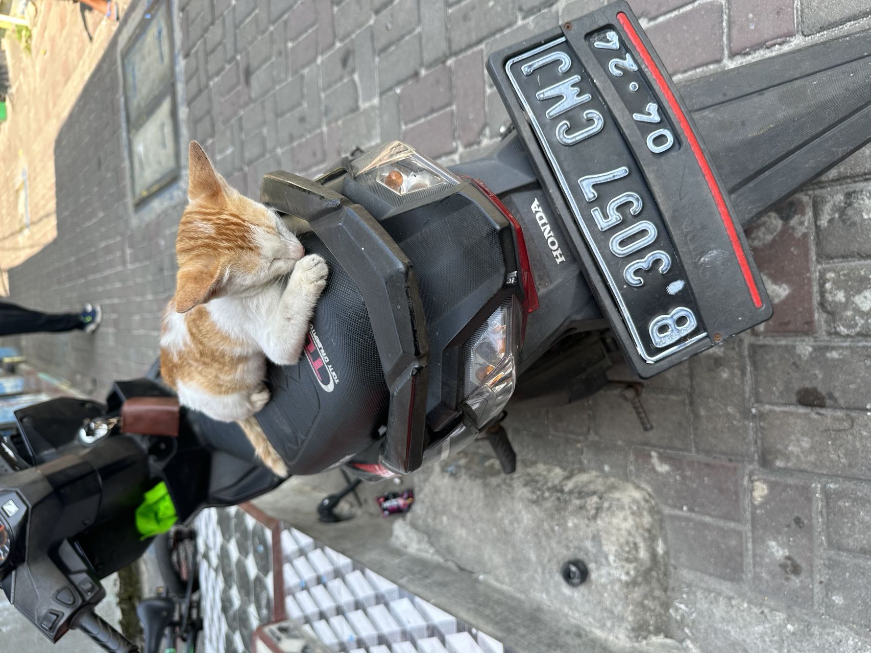 印尼雅加达值得去吗,印尼是世界第几大国家