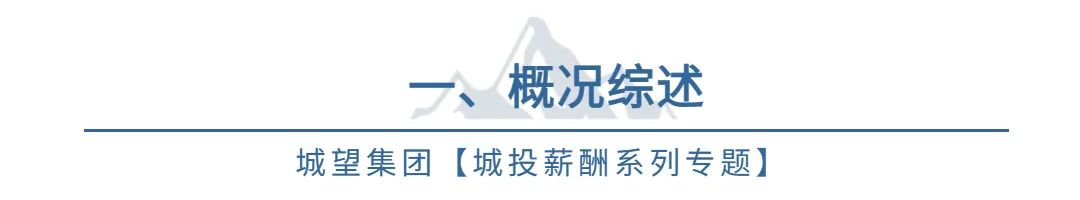 薪酬专题五：中基层岗位绩效工资制实施步骤（含岗位价值测评）
