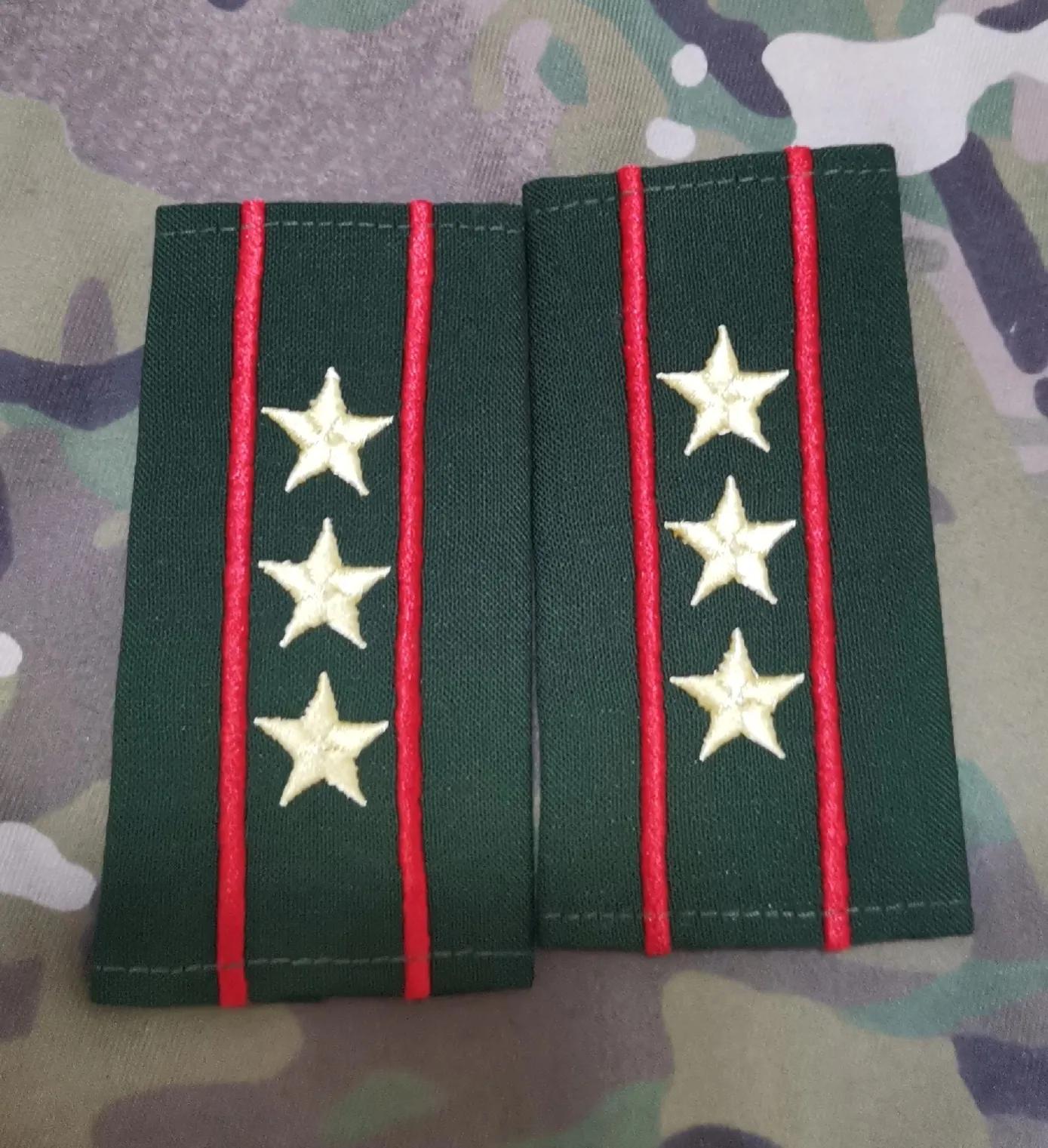 退役徽章欣赏（八七式*警武**警官套式警衔）