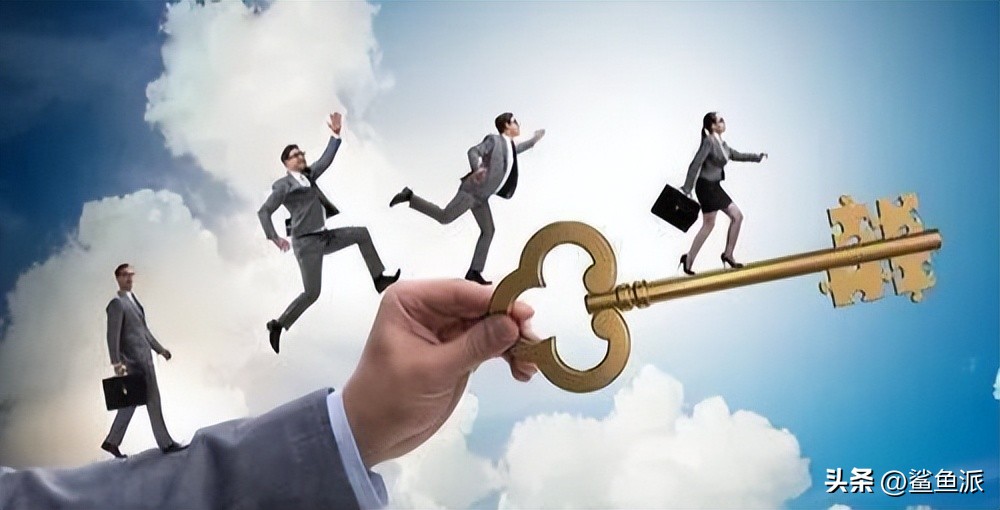 鲨鱼哥创业方法论,鲨鱼哥被打假后续