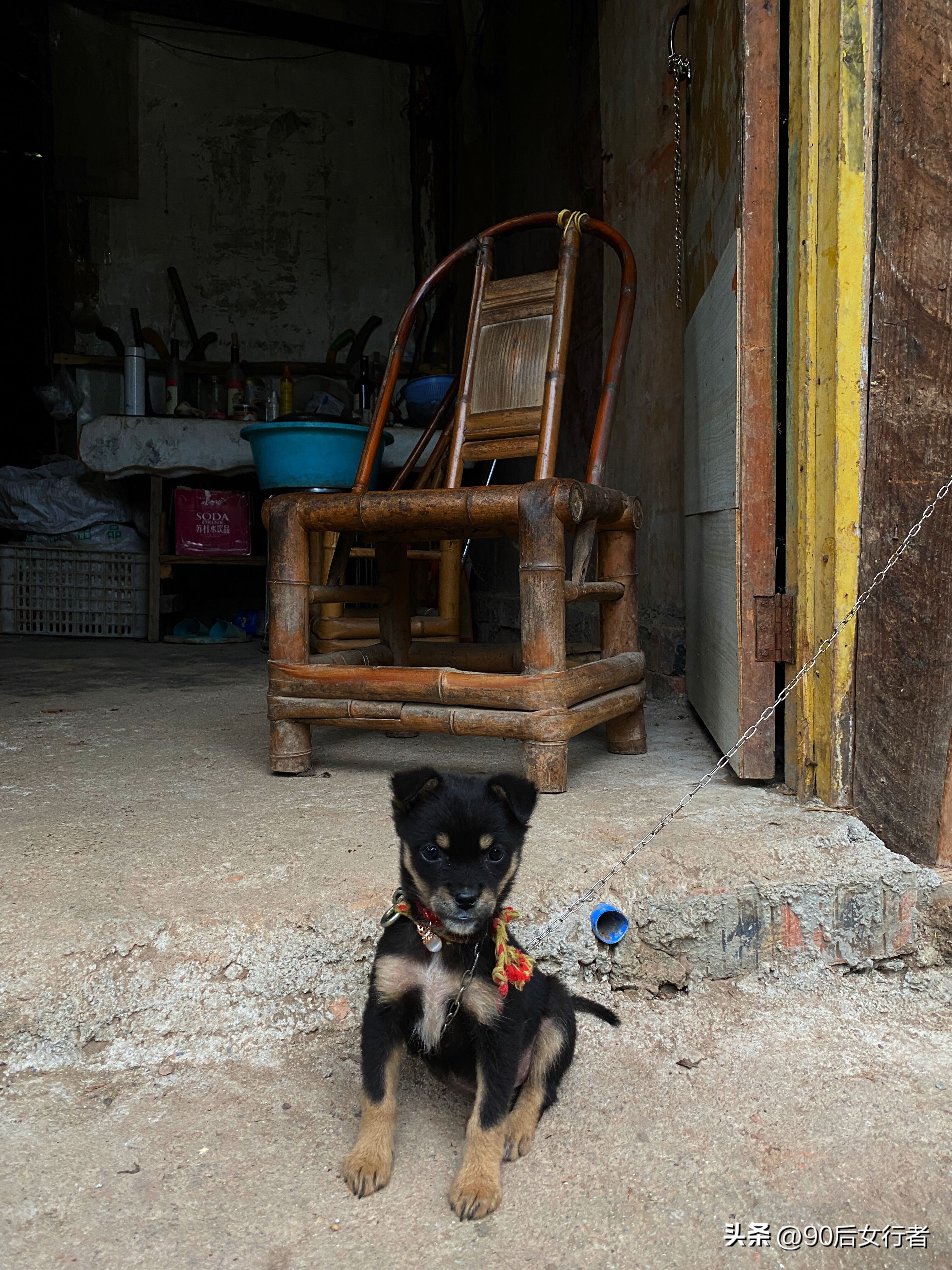 走进山间的小路感受大自然,成都深山老林旅游最好去处
