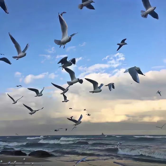 可以写在书上的暗恋的文案,暗恋一个人的句子文案