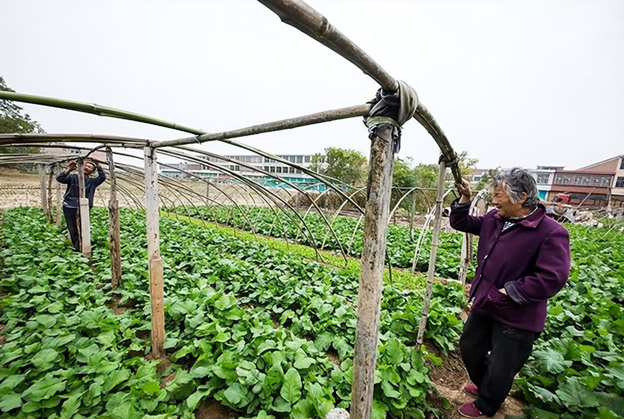 没有地的农民能向政府申请开荒吗,没有土地的农民怎么申请宅基地