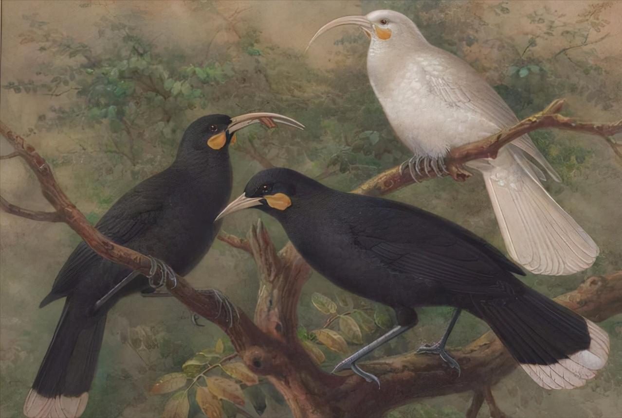 世界上最贵的东西一克的价值上亿,史上最贵的东西价值1000万