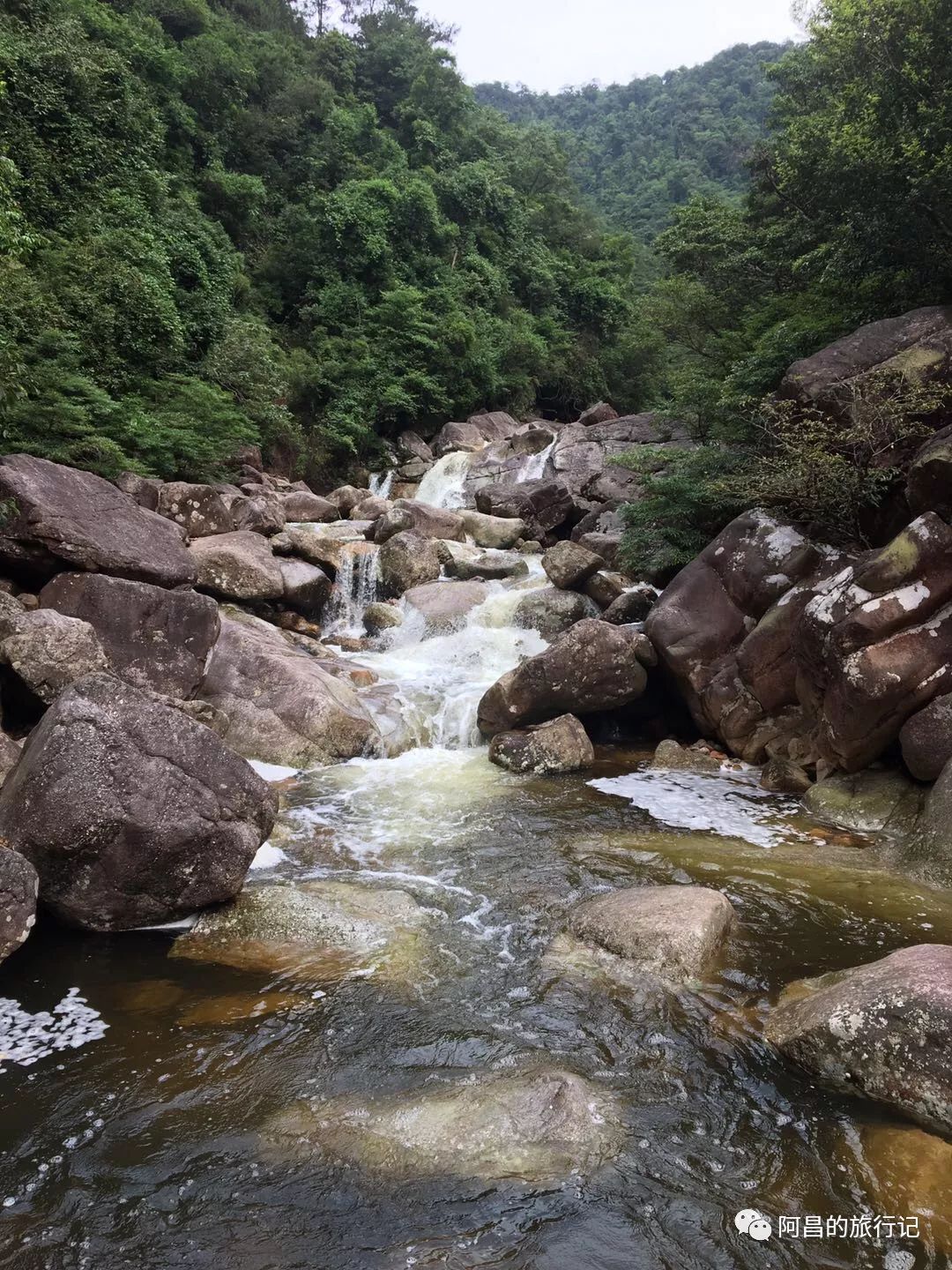 广西十万大山国家森林公园,广西十万大山国家森林公园图片