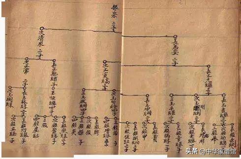 家谱编修流程及注意事项,编修家谱的流程