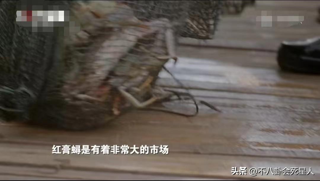 老戏骨云集，央视黄金档播出，《那山那海》打出了一把王炸