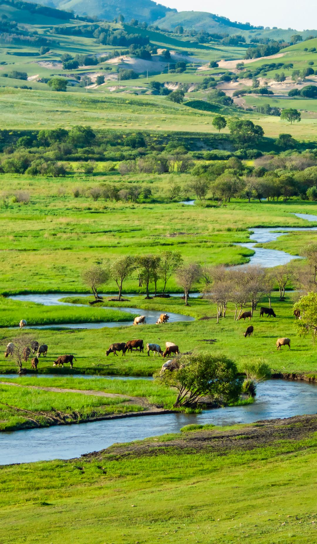 <html>
<head><title>502BadGateway</title></head>
<body>
<center><h1>502BadGateway</h1></center>
<hr><center>nginx</center>
</body>
</html>
<!--apaddingtodisableMSIEandChromefriendlyerrorpage-->
<!--apaddingtodisableMSIEandChromefriendlyerrorpage-->
<!--apaddingtodisableMSIEandChromefriendlyerrorpage-->
<!--apaddingtodisableMSIEandChromefriendlyerrorpage-->
<!--apaddingtodisableMSIEandChromefriendlyerrorpage-->
<!--apaddingtodisableMSIEandChromefriendlyerrorpage-->
