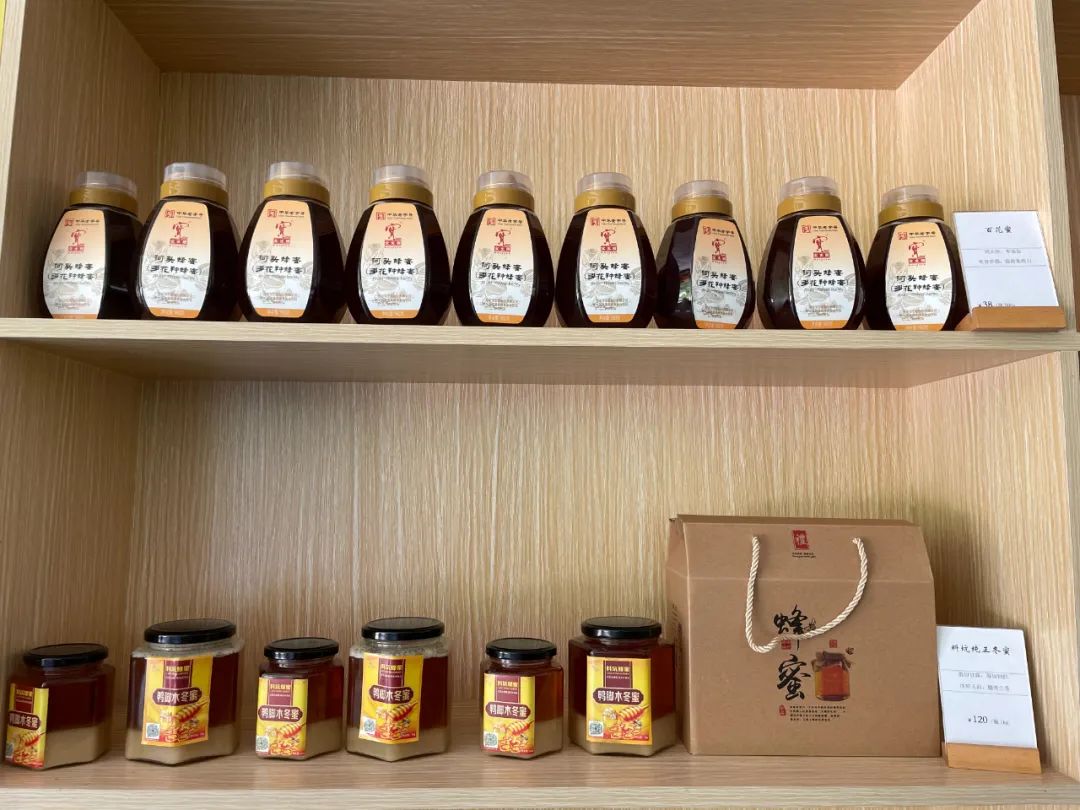 小蜜蜂酿出甜蜜大产业,白沙村小蜜蜂酿出甜蜜大产业