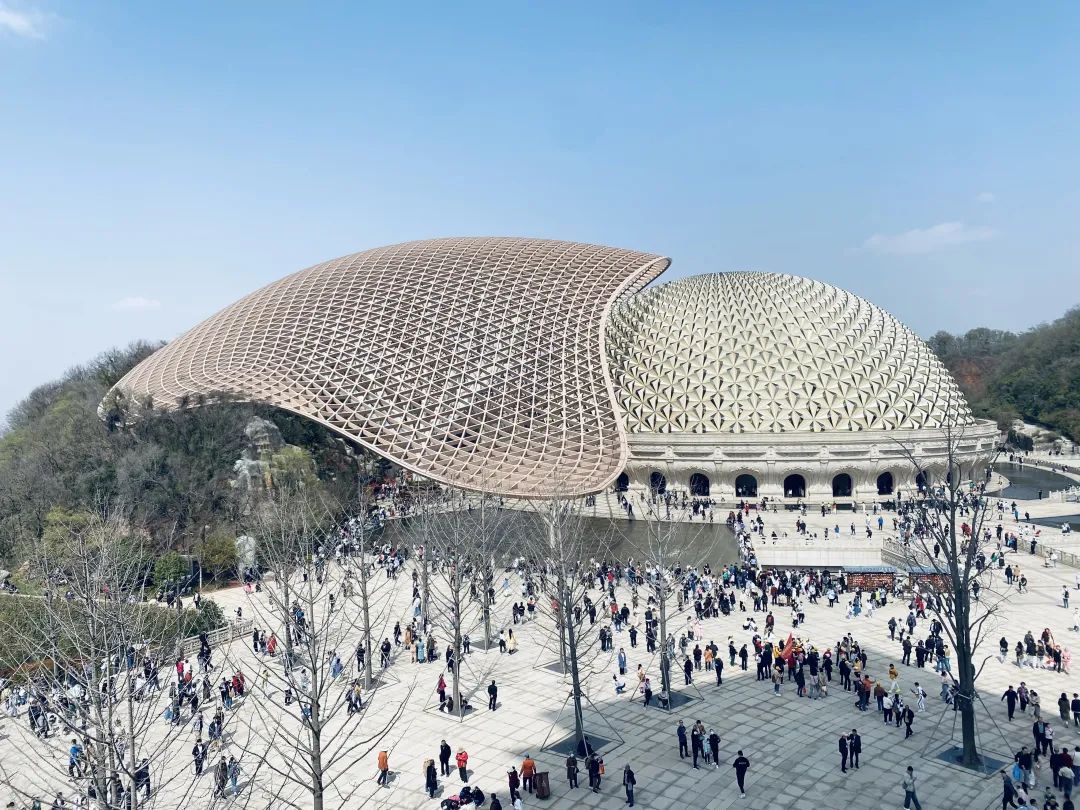 南京年轻人：改吃斋了