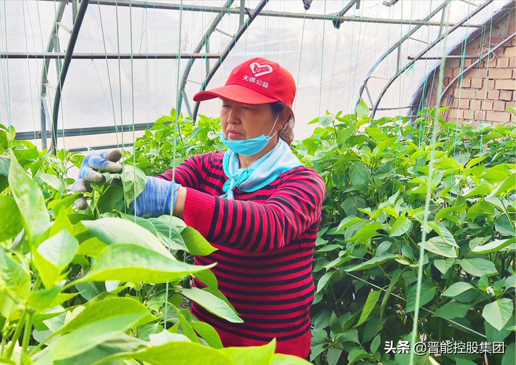 推动巩固脱贫攻坚成果与乡村振兴,脱贫攻坚与乡村振兴应知应会100问