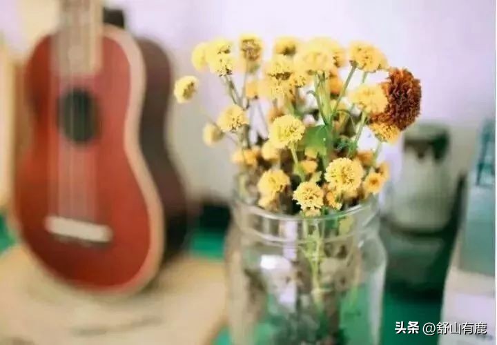 如何看一个家庭的兴旺与衰败,一个家庭的兴旺与衰败全图