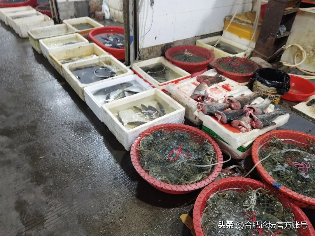 合肥杏花菜市场老样子,合肥杏花菜市