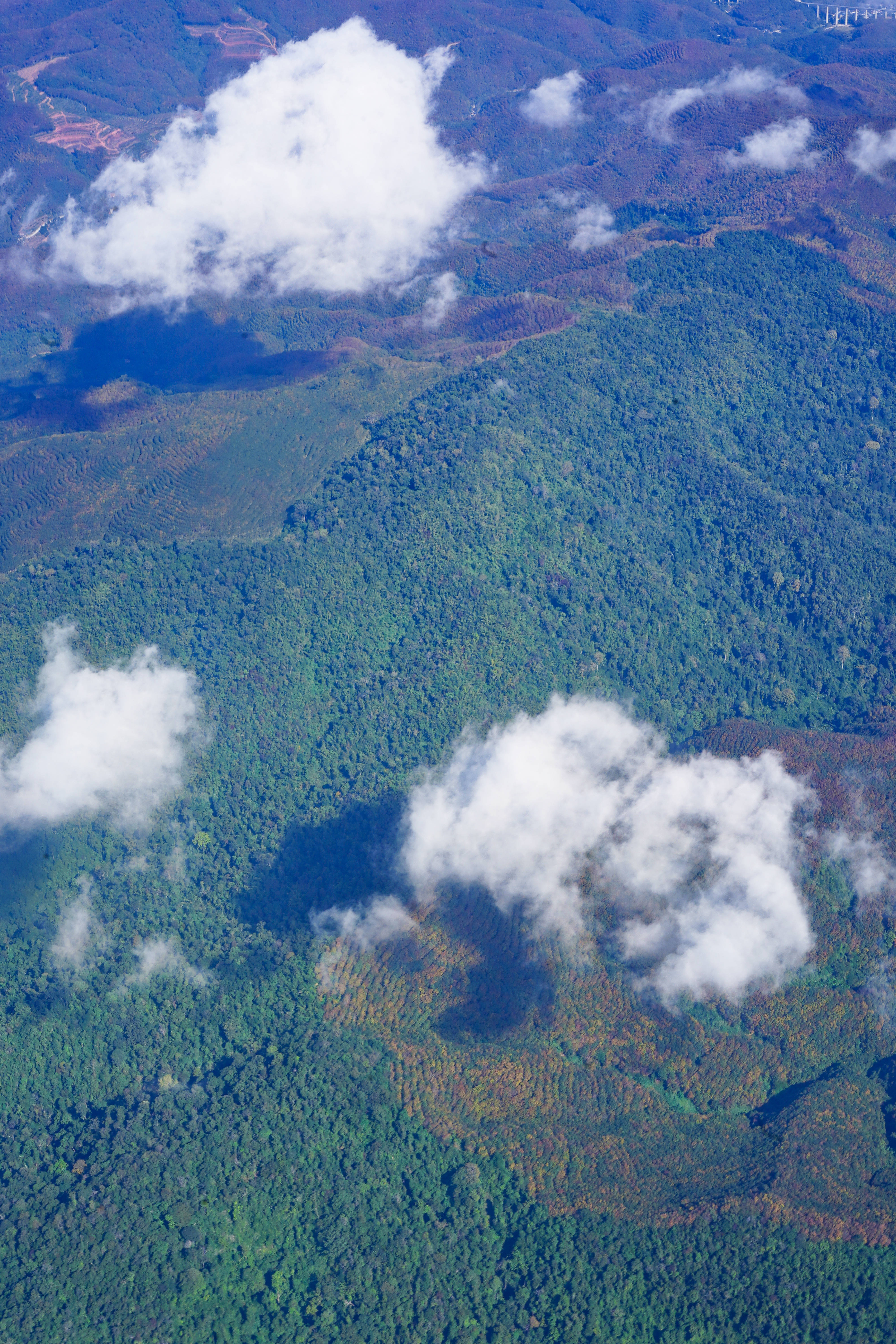 冬天西双版纳适合旅游吗,西双版纳最宜居