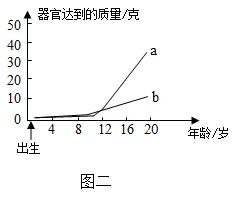 中考生物一轮复习专题训练七人的生殖发育