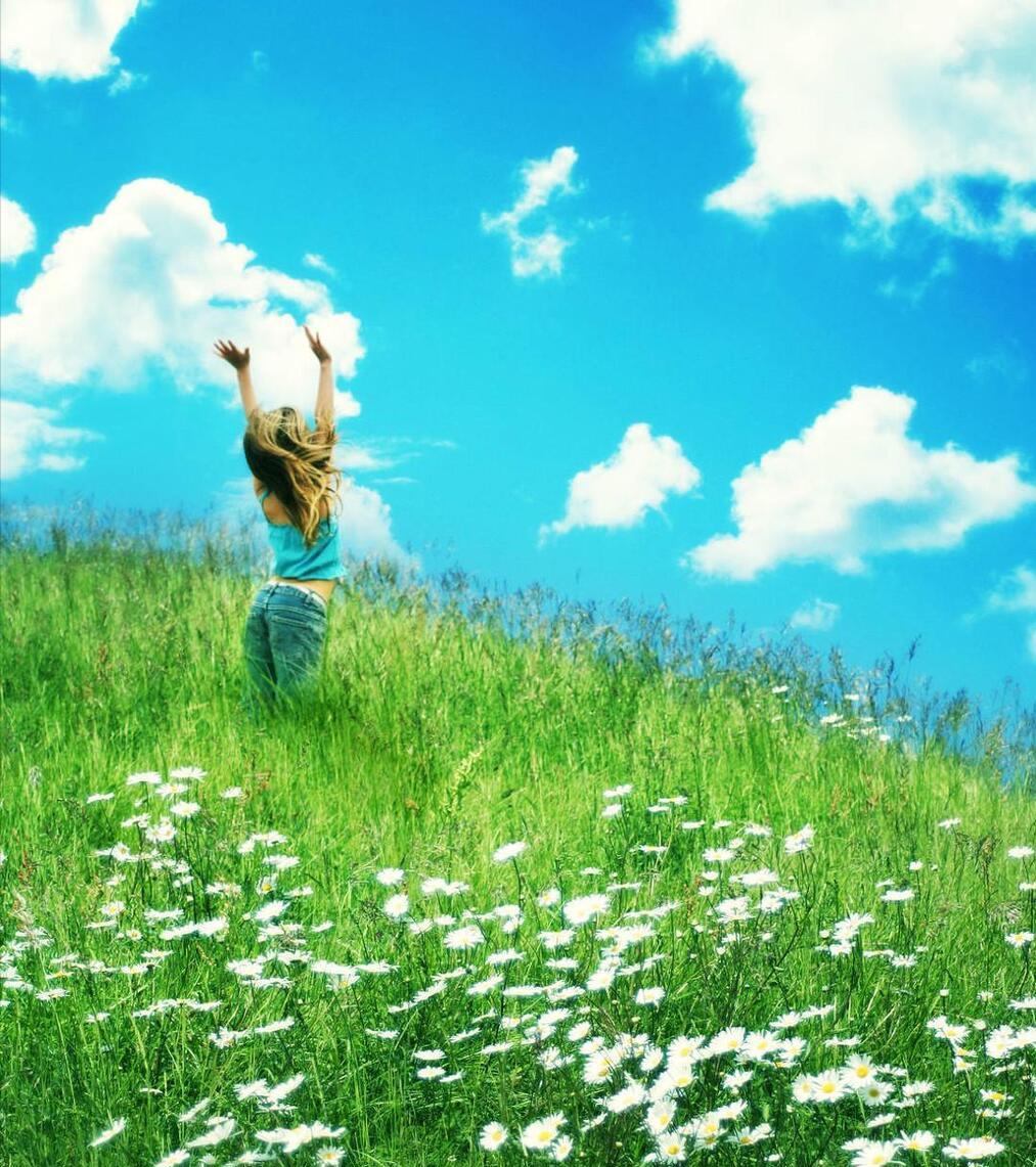 放飞梦想自由成长800字作文,放飞梦想自由翱翔的句子