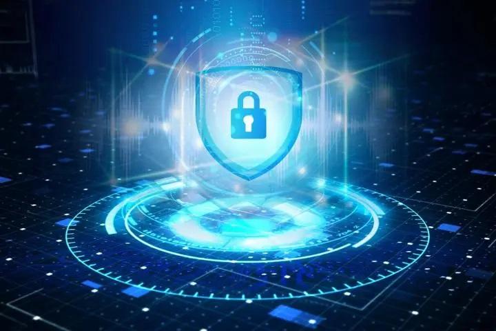 汪正扬上网偷菜,汪正扬偷菜游戏