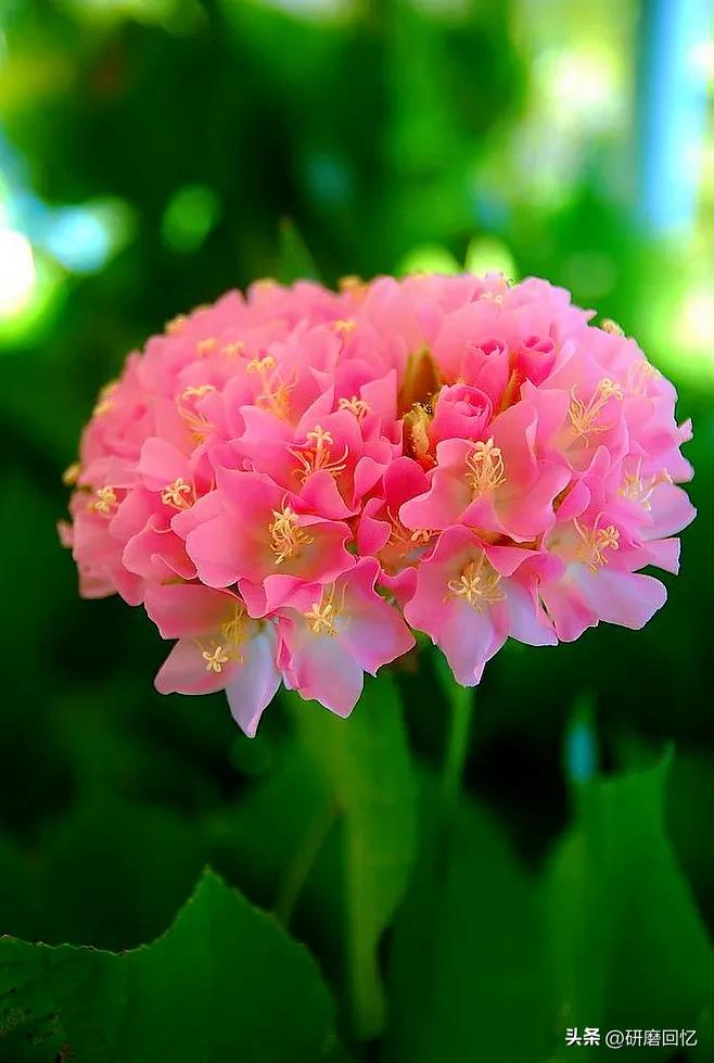 人生的感悟是沉甸甸的,人生其实就是感悟的过程