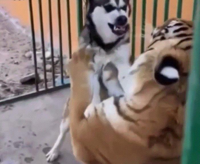 脚上有一股很浓的味道,脚上有味道的原因