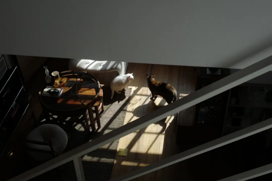 探访100个年轻人的家,居家办公如何克服父母的干扰