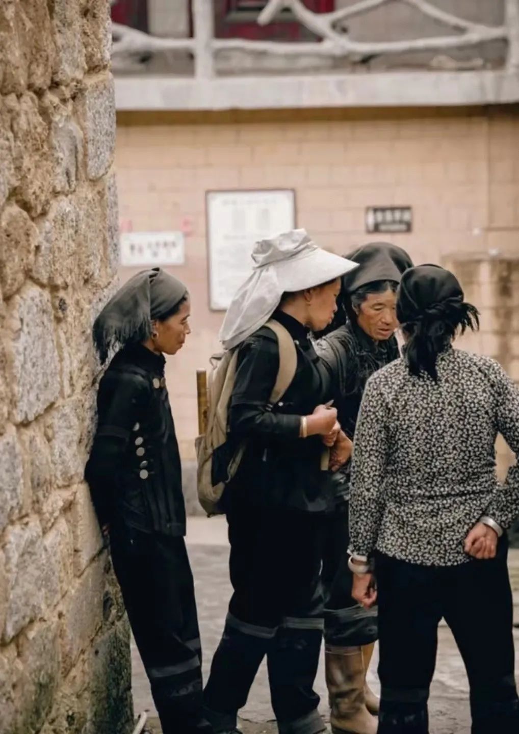 2022花海盛开,2022春季花海