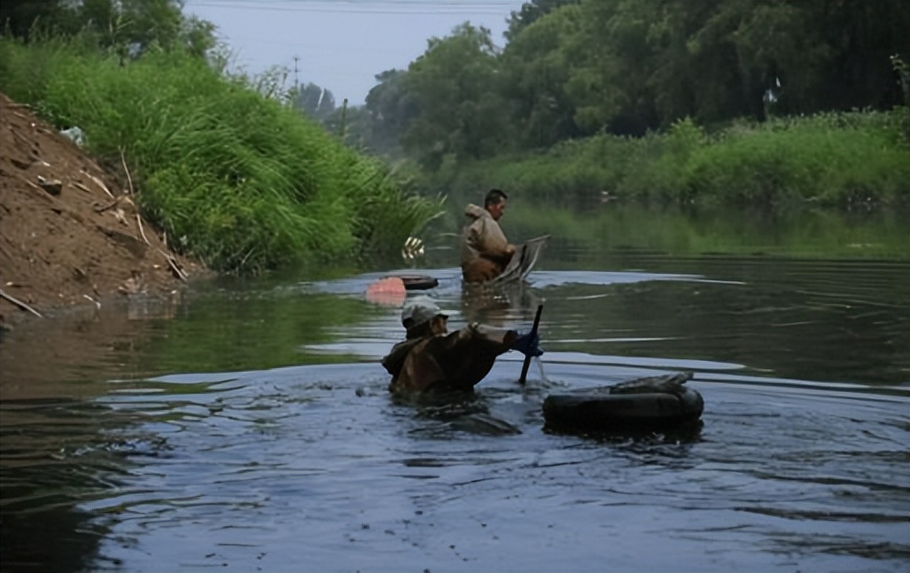 捕捞一晚获利上万,人工捕捞红虫违法吗