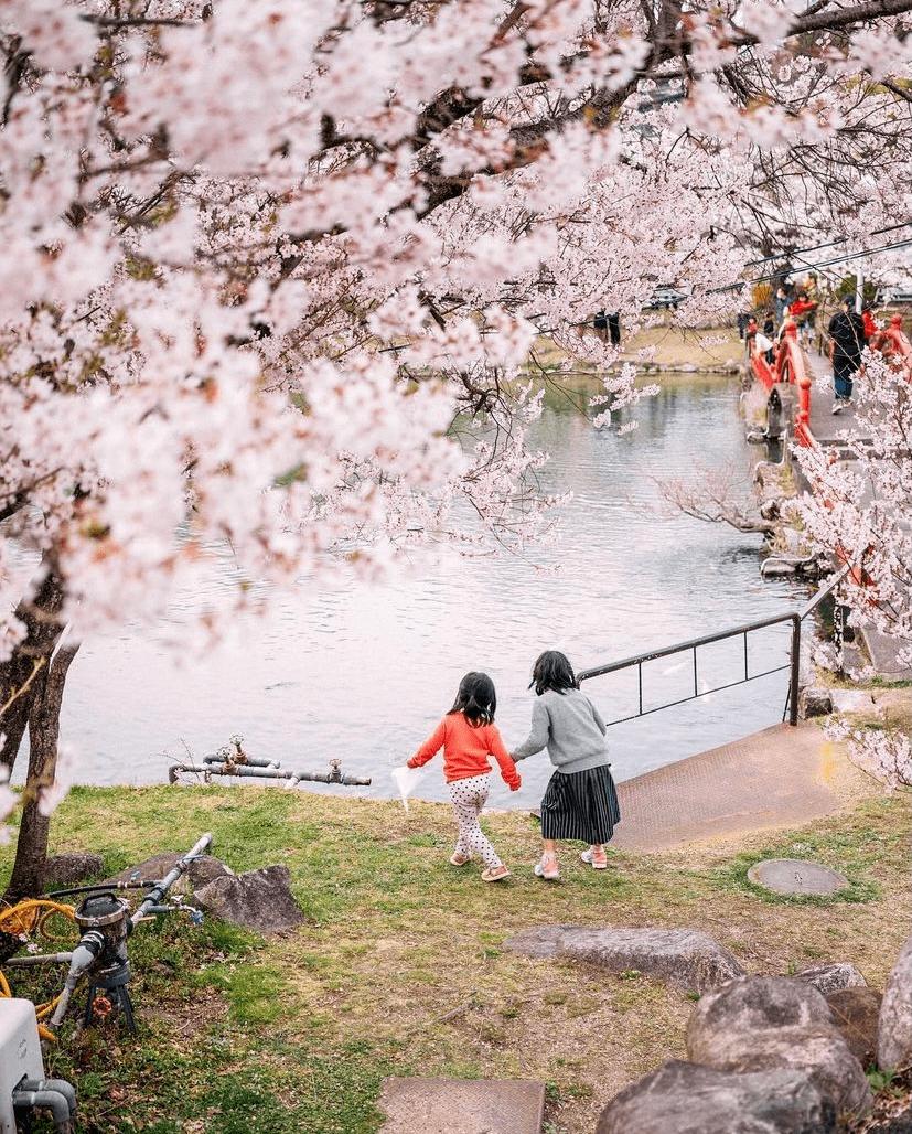 爸爸拍坏人女儿却被偷走完整版,日本爸爸偷拍孩子