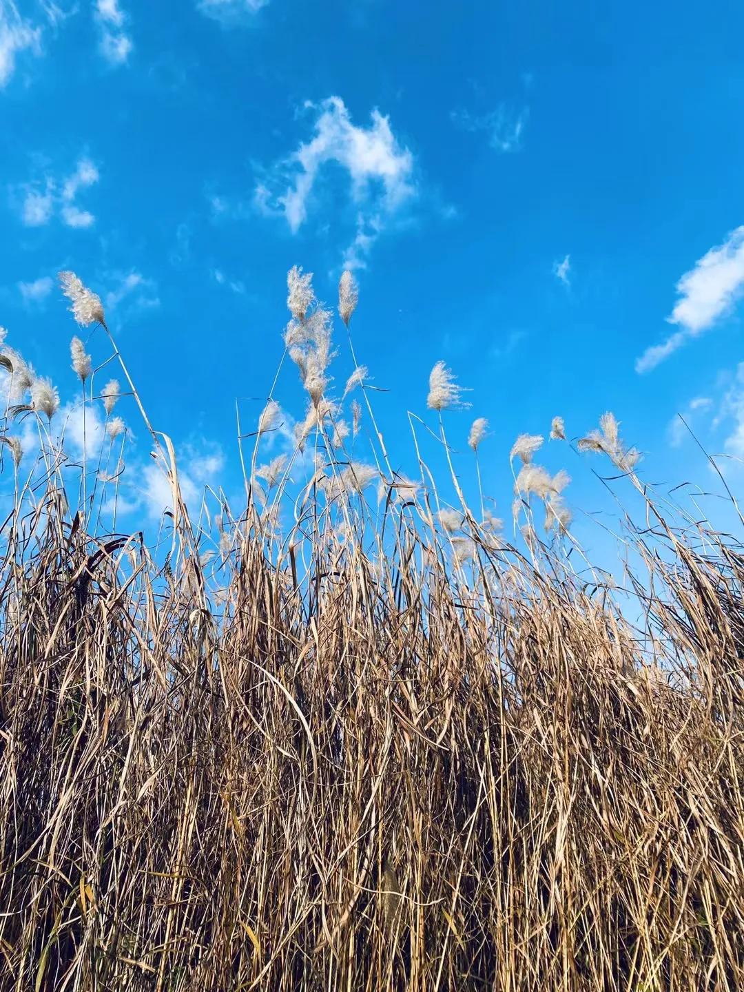 新手炒期货的方法,炒期货零基础入门