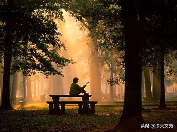 澶滆景灏忚闃呰,澶滆景闃呰