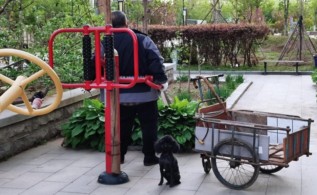 养狗人的视频,养狗人皮肤过敏的症状和表现