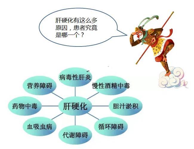 双下肢水肿心源性,心衰双下肢水肿