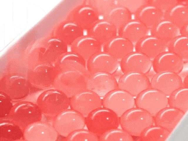 小孩裤头有褐色分泌物是什么原因,五岁宝宝裤子上有血怎么回事