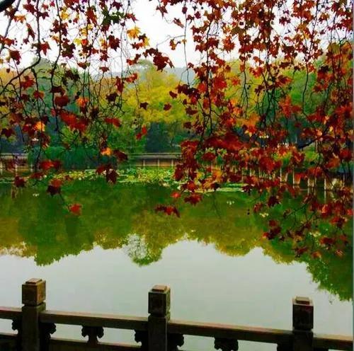 武汉大学被誉为最美大学主要不在于樱花，而在于其建筑和山水园林