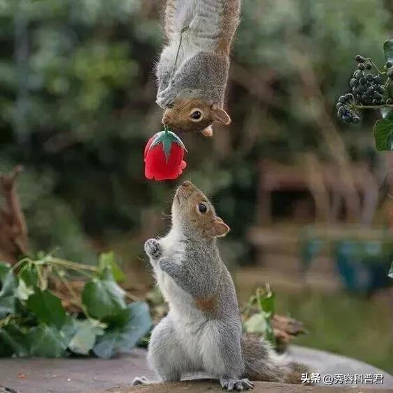 *拍偷**的夫妻生活照，羞羞的