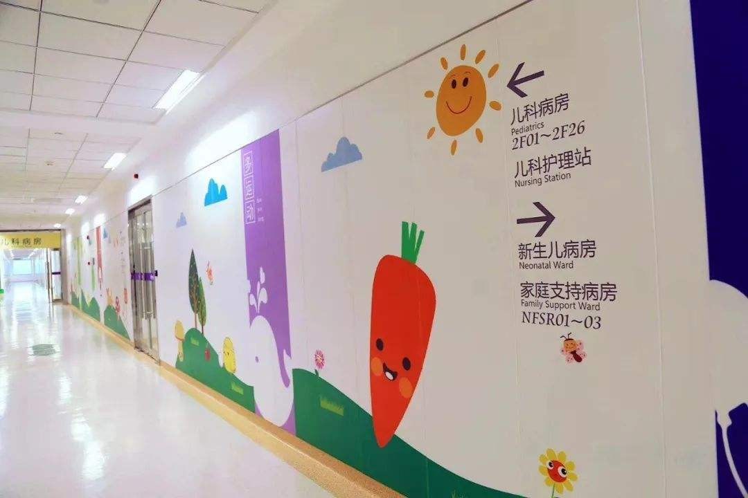 同卵双胞胎患自闭症的概率高吗,同卵三胞胎女儿都患自闭症