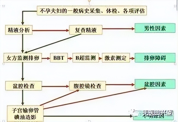 不孕症治疗理疗篇,不孕症治疗视频