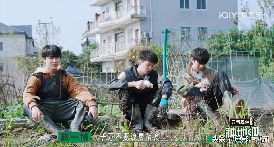 从豆瓣8.4到9.0分，这群认真种地的少年们，值得被所有人看见