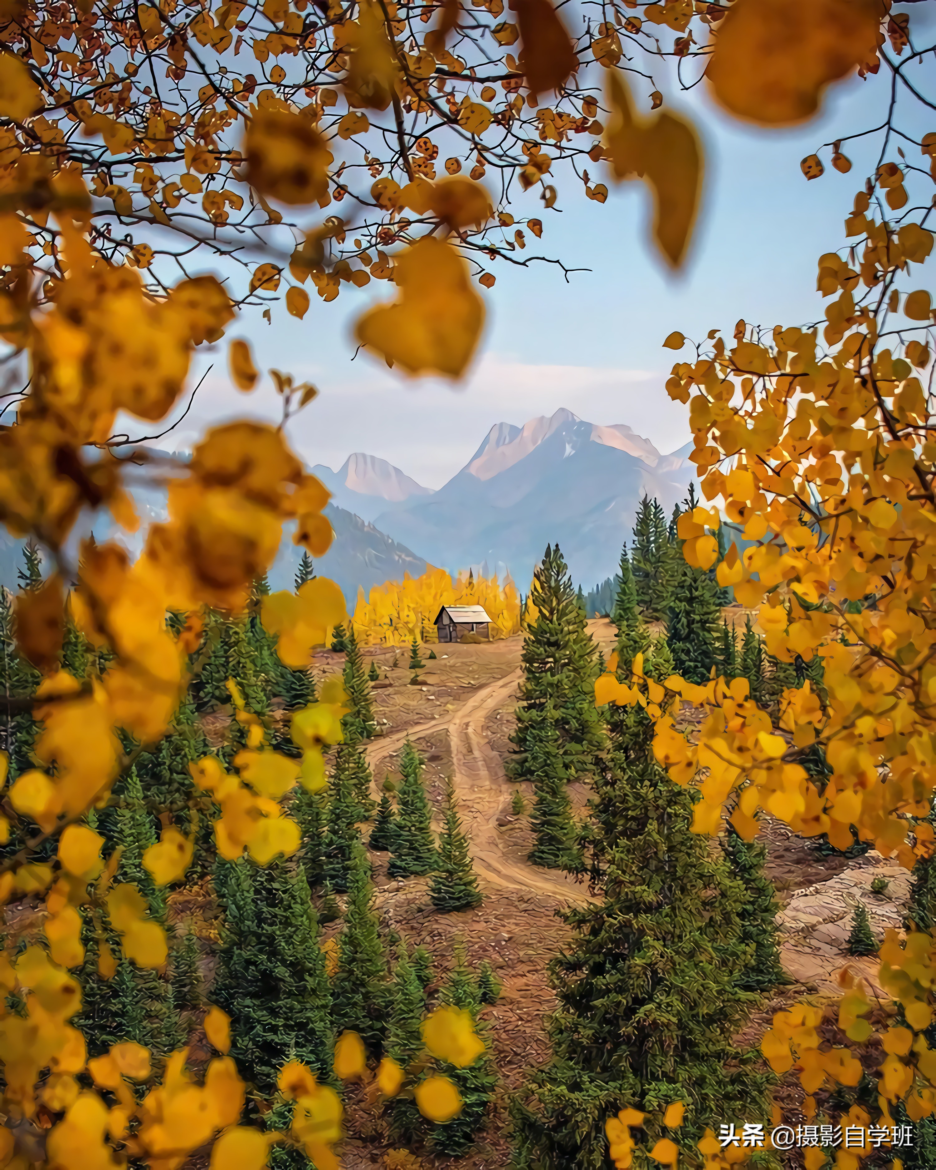 普通人学摄影的真实感受,普通人学摄影一个月