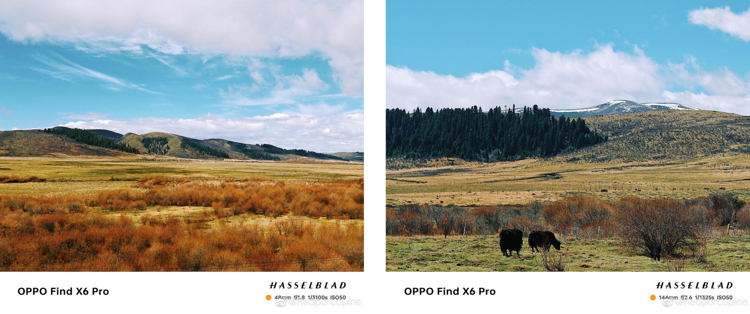 什么长焦手机拍人像拍风景好,长焦相机拍风景推荐