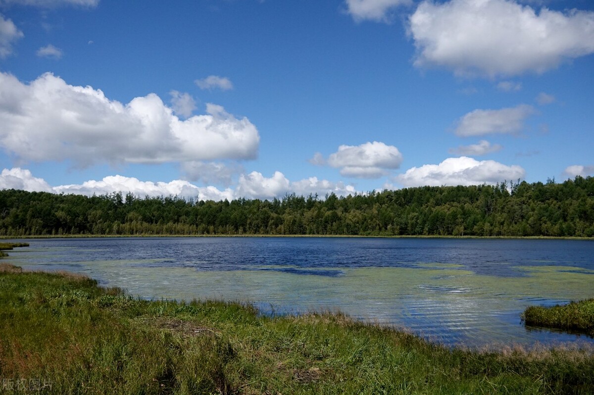 狮子座女生最在乎的男生的细节,狮子座女分手后还在乎对方的表现