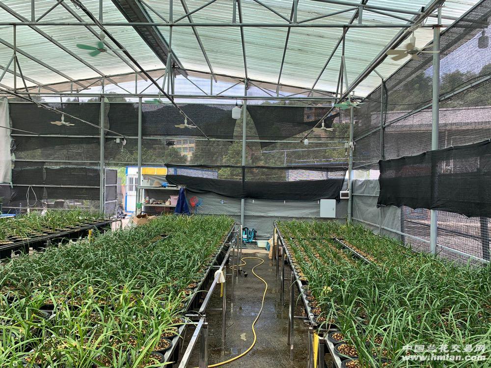 80鍚庡皬浼欏吇鍏扮殑骞冲焊鐢熸椿,90鍚庡吇鍏颁汉鎴愬姛妗堜緥