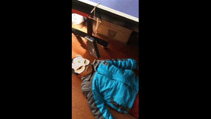 水之呼吸，物理之型，水流振动！|正经玩