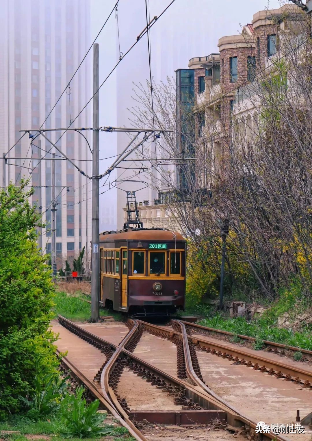 春节大连旅游攻略必去的地方,大连旅游攻略亲子游四天三夜
