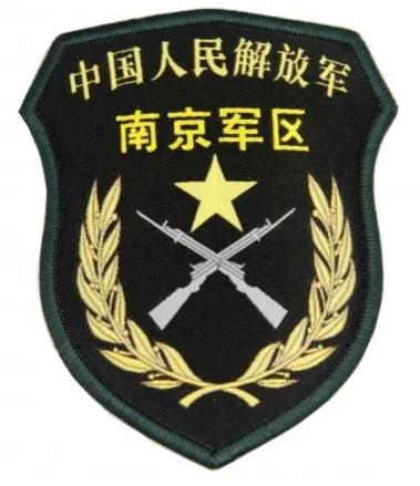 常服陆军军种胸标,陆军新式胸标普及了吗