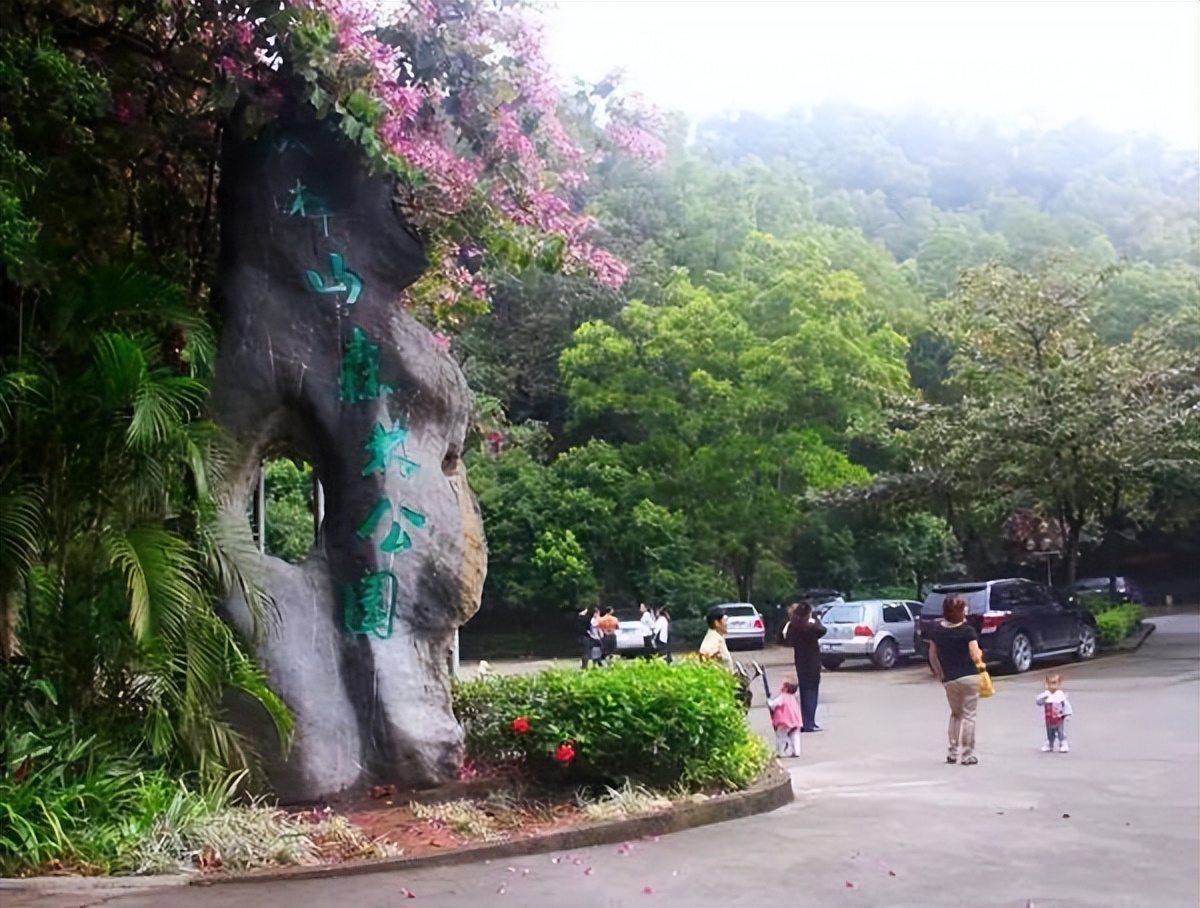 珠海大型公园有哪些,珠海最美十大公园在哪里