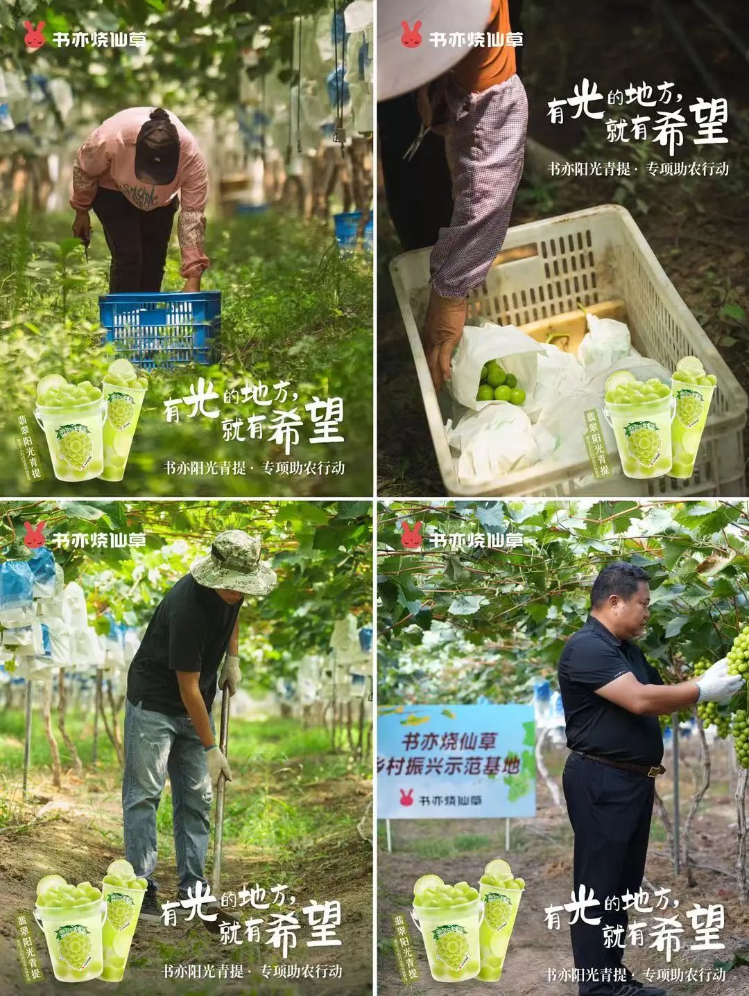 书亦新品最新消息,书亦新品发布会