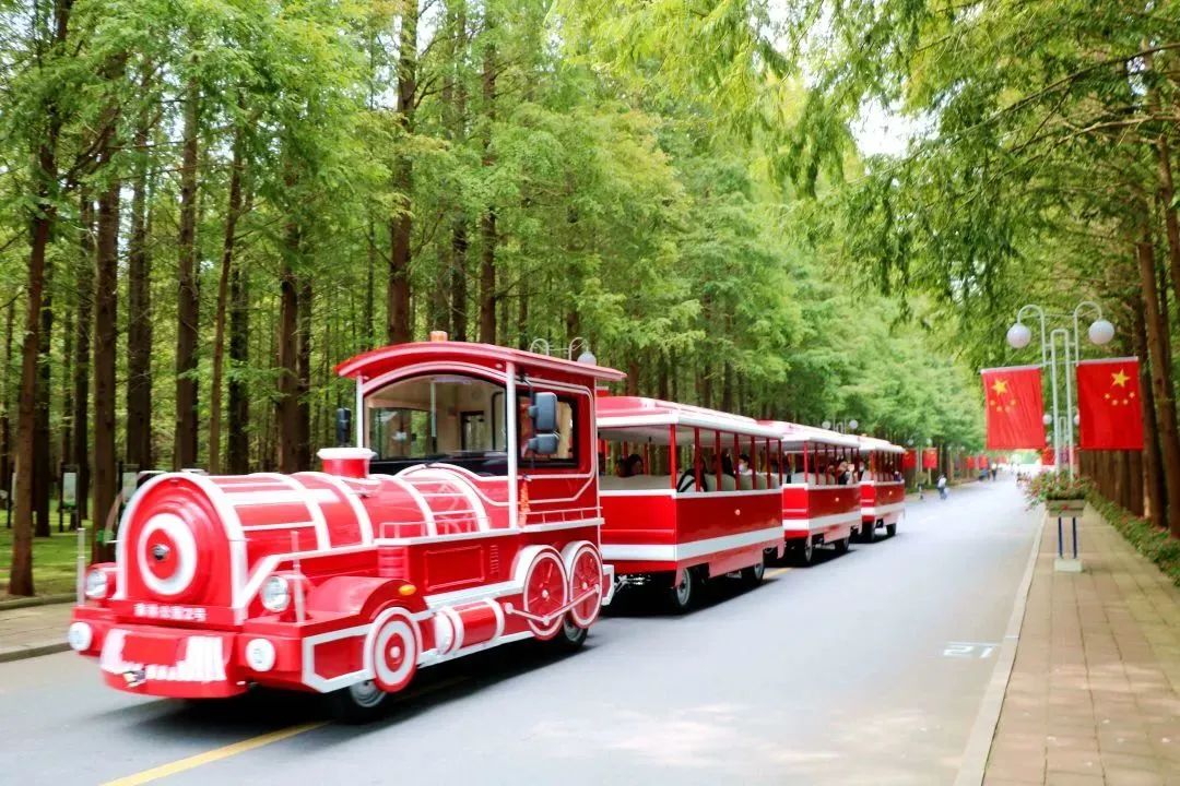 江苏人为什么喜欢去山东看海,去山东哪里看海最好